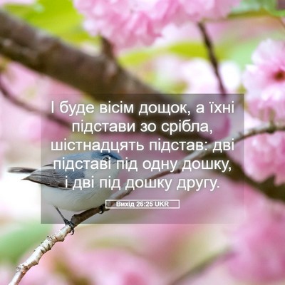 Picture 05 - Вихід 26:25 UKR - І буде вісім дощок, а їхні - Bible Verse Picture