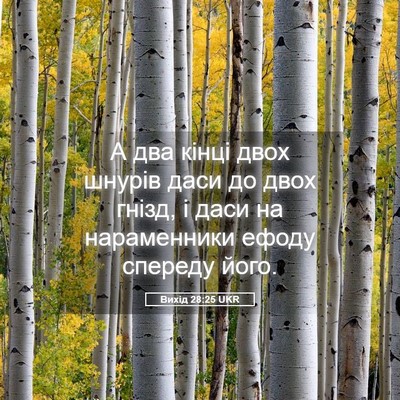 Picture 05 - Вихід 28:25 UKR - А два кінці двох шнурів - Bible Verse Picture