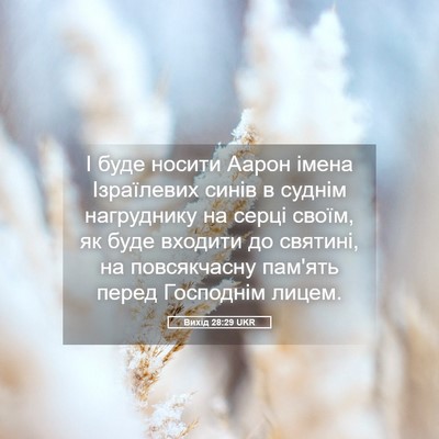 Picture 05 - Вихід 28:29 UKR - І буде носити Аарон імена - Bible Verse Picture