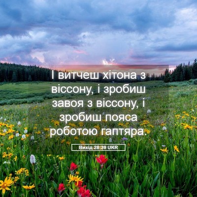 Picture 05 - Вихід 28:39 UKR - І витчеш хітона з віссону, - Bible Verse Picture