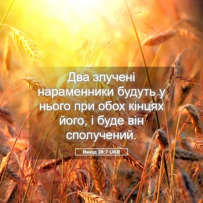 Picture 05 - Вихід 28:7 UKR - Два злучені нараменники - Bible Verse Picture