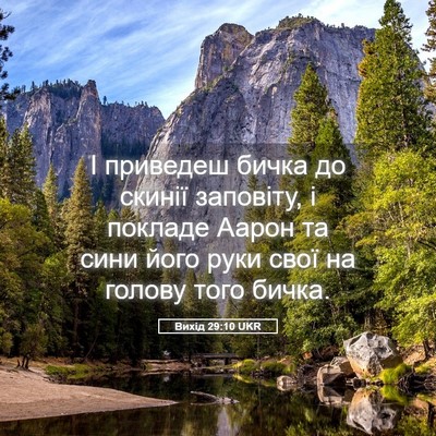 Picture 05 - Вихід 29:10 UKR - І приведеш бичка до скинії - Bible Verse Picture