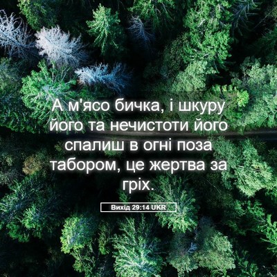 Picture 05 - Вихід 29:14 UKR - А м'ясо бичка, і шкуру його - Bible Verse Picture
