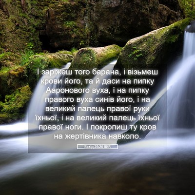 Picture 05 - Вихід 29:20 UKR - І заріжеш того барана, і - Bible Verse Picture