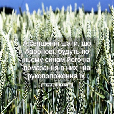 Picture 05 - Вихід 29:29 UKR - А священні шати, що - Bible Verse Picture