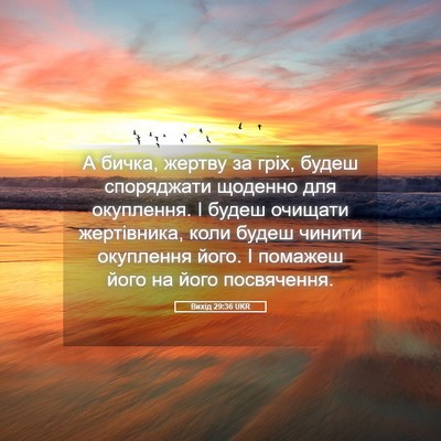 Picture 05 - Вихід 29:36 UKR - А бичка, жертву за гріх, - Bible Verse Picture