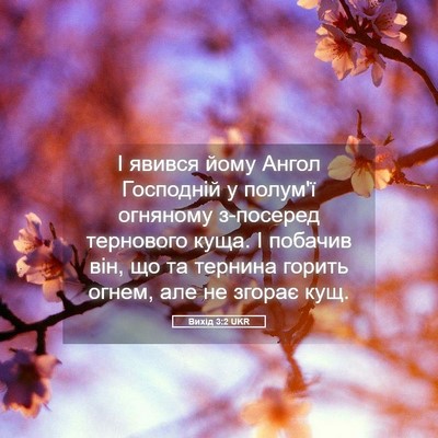 Picture 05 - Вихід 3:2 UKR - І явився йому Ангол - Bible Verse Picture
