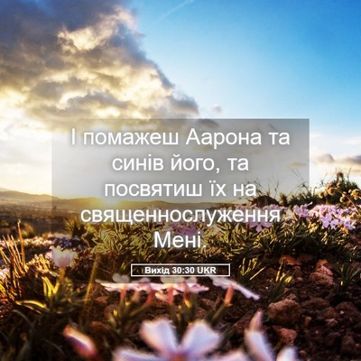 Picture 05 - Вихід 30:30 UKR - І помажеш Аарона та синів - Bible Verse Picture