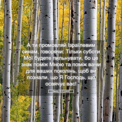 Picture 05 - Вихід 31:13 UKR - А ти промовляй Ізраїлевим - Bible Verse Picture