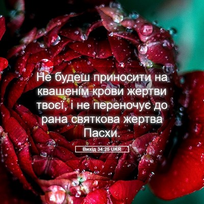 Picture 05 - Вихід 34:25 UKR - Не будеш приносити на - Bible Verse Picture