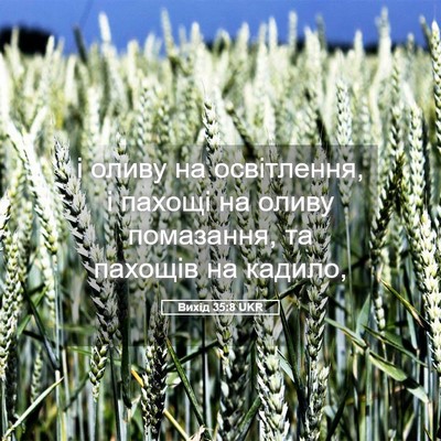 Picture 05 - Вихід 35:8 UKR - і оливу на освітлення, і - Bible Verse Picture