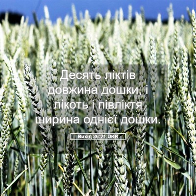 Picture 05 - Вихід 36:21 UKR - Десять ліктів довжина - Bible Verse Picture