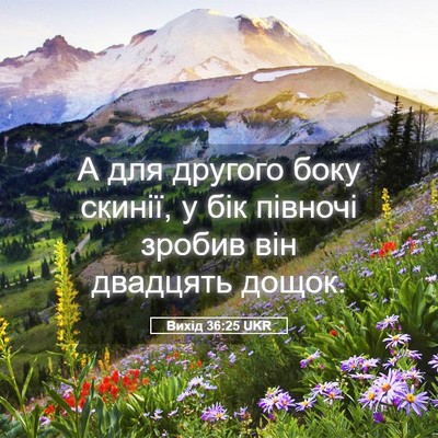 Picture 05 - Вихід 36:25 UKR - А для другого боку скинії, - Bible Verse Picture
