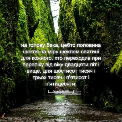Picture 05 - Вихід 38:26 UKR - на голову бека, цебто - Bible Verse Picture