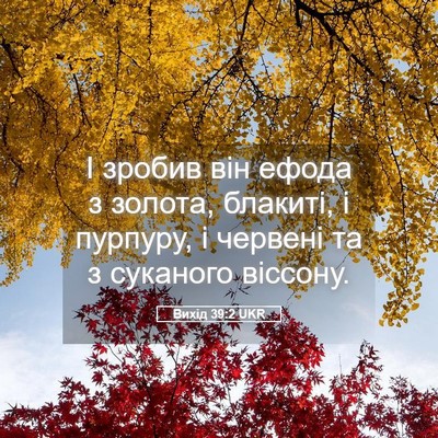 Picture 05 - Вихід 39:2 UKR - І зробив він ефода з - Bible Verse Picture