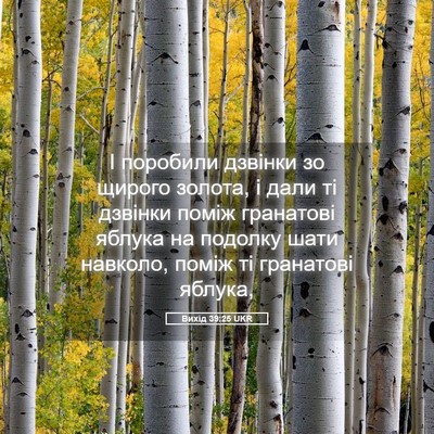 Picture 05 - Вихід 39:25 UKR - І поробили дзвінки зо - Bible Verse Picture