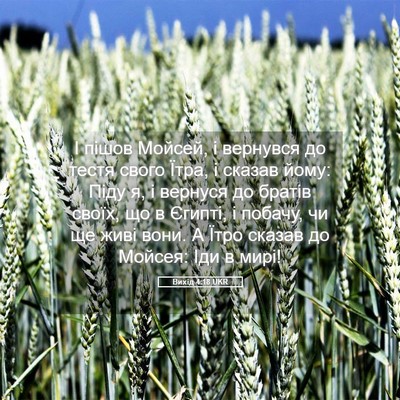 Picture 05 - Вихід 4:18 UKR - І пішов Мойсей, і вернувся - Bible Verse Picture