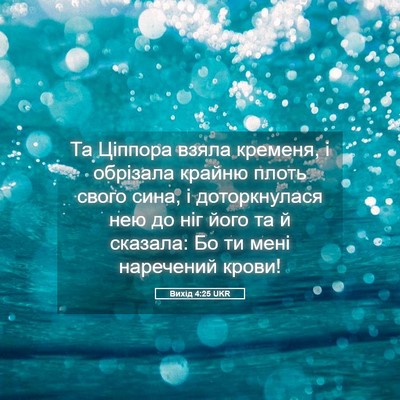 Picture 05 - Вихід 4:25 UKR - Та Ціппора взяла кременя, і - Bible Verse Picture