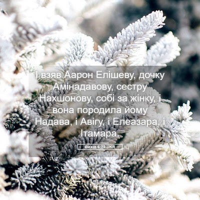Picture 05 - Вихід 6:23 UKR - І взяв Аарон Елішеву, дочку - Bible Verse Picture