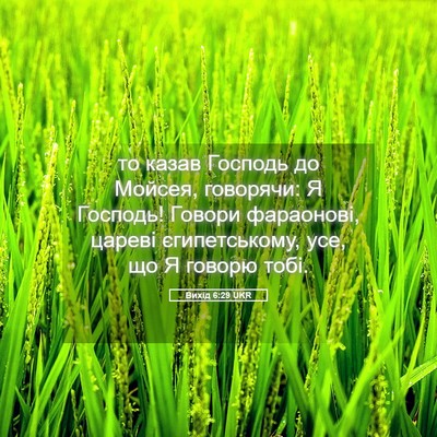 Picture 05 - Вихід 6:29 UKR - то казав Господь до Мойсея, - Bible Verse Picture