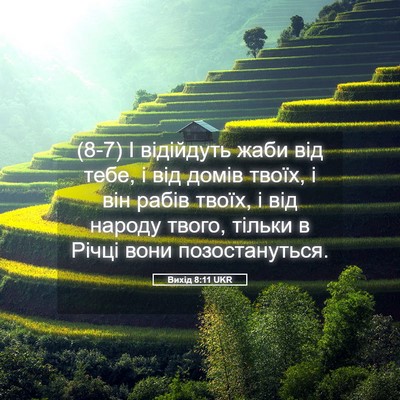 Picture 05 - Вихід 8:11 UKR - (8-7) І відійдуть жаби від - Bible Verse Picture