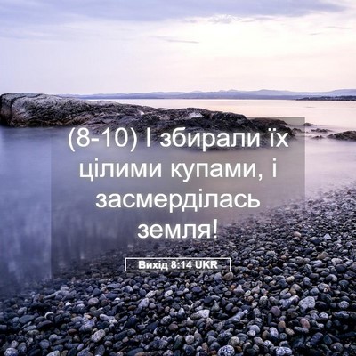 Picture 05 - Вихід 8:14 UKR - (8-10) І збирали їх цілими - Bible Verse Picture