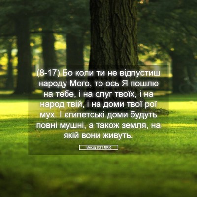 Picture 05 - Вихід 8:21 UKR - (8-17) Бо коли ти не відпустиш - Bible Verse Picture