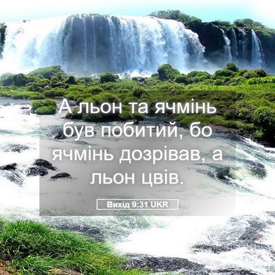 Picture 05 - Вихід 9:31 UKR - А льон та ячмінь був - Bible Verse Picture