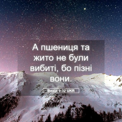 Picture 05 - Вихід 9:32 UKR - А пшениця та жито не були - Bible Verse Picture