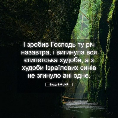Picture 05 - Вихід 9:6 UKR - І зробив Господь ту річ - Bible Verse Picture