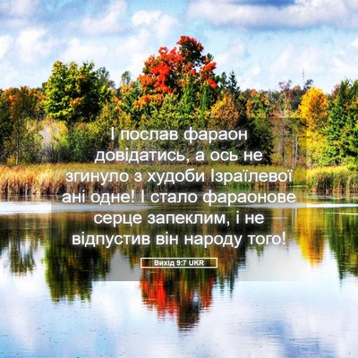Picture 05 - Вихід 9:7 UKR - І послав фараон - Bible Verse Picture