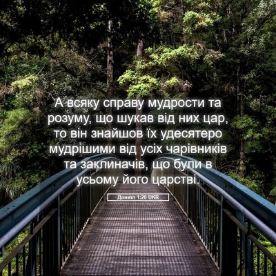Picture 05 - Даниїл 1:20 UKR - А всяку справу мудрости та - Bible Verse Picture