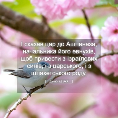 Picture 05 - Даниїл 1:3 UKR - І сказав цар до Ашпеназа, - Bible Verse Picture