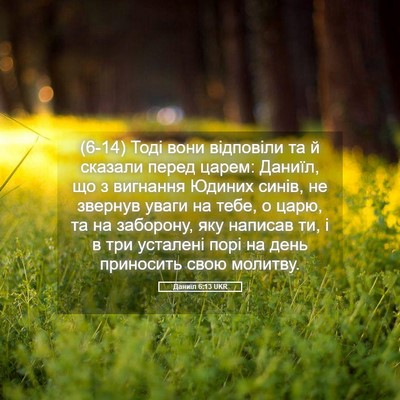 Picture 05 - Даниїл 6:13 UKR - (6-14) Тоді вони відповіли та - Bible Verse Picture