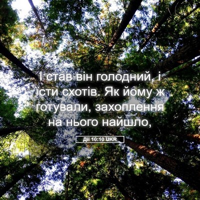 Picture 05 - Дії 10:10 UKR - І став він голодний, і їсти - Bible Verse Picture