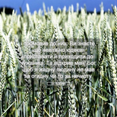 Picture 05 - Дії 10:28 UKR - і промовив до них: Ви - Bible Verse Picture