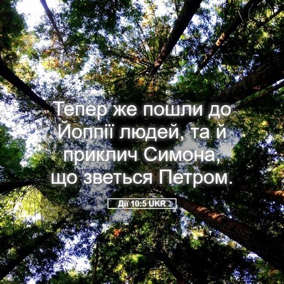Picture 05 - Дії 10:5 UKR - Тепер же пошли до Йоппії - Bible Verse Picture