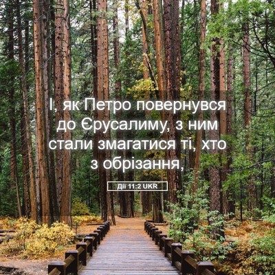 Picture 05 - Дії 11:2 UKR - І, як Петро повернувся до - Bible Verse Picture