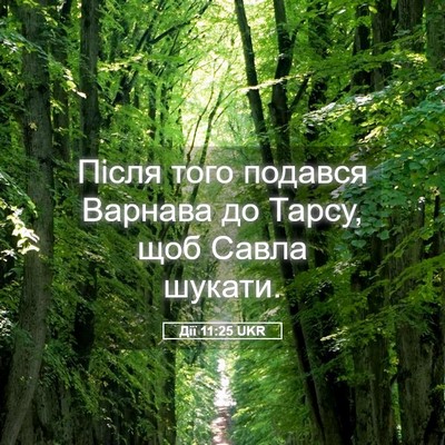Picture 05 - Дії 11:25 UKR - Після того подався Варнава - Bible Verse Picture