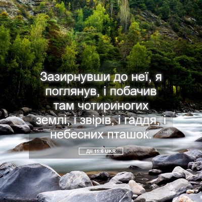 Picture 05 - Дії 11:6 UKR - Зазирнувши до неї, я - Bible Verse Picture