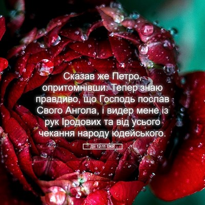 Picture 05 - Дії 12:11 UKR - Сказав же Петро, - Bible Verse Picture