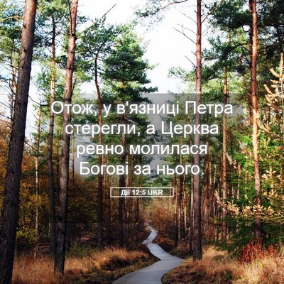 Picture 05 - Дії 12:5 UKR - Отож, у в'язниці Петра - Bible Verse Picture