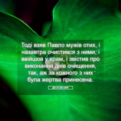Picture 05 - Дії 21:26 UKR - Тоді взяв Павло мужів отих, - Bible Verse Picture