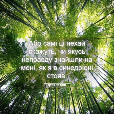 Picture 05 - Дії 24:20 UKR - Або самі ці нехай скажуть, - Bible Verse Picture