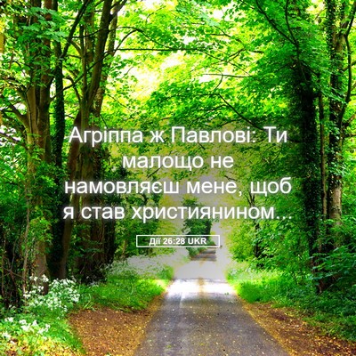 Picture 05 - Дії 26:28 UKR - Агріппа ж Павлові: Ти - Bible Verse Picture