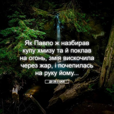 Picture 05 - Дії 28:3 UKR - Як Павло ж назбирав купу - Bible Verse Picture