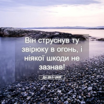 Picture 05 - Дії 28:5 UKR - Він струснув ту звірюку в - Bible Verse Picture