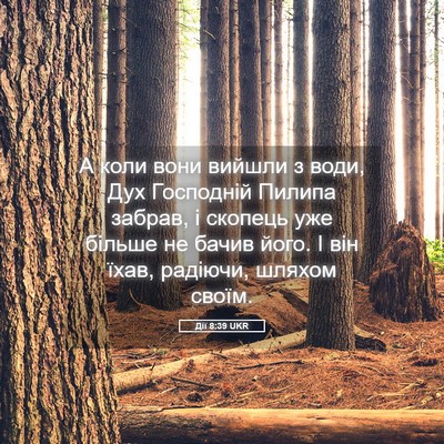 Picture 05 - Дії 8:39 UKR - А коли вони вийшли з води, - Bible Verse Picture
