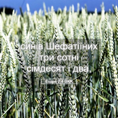 Picture 05 - Ездра 2:4 UKR - синів Шефатіїних три сотні - Bible Verse Picture