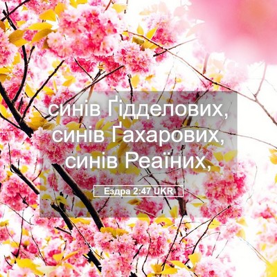 Picture 05 - Ездра 2:47 UKR - синів Ґідделових, синів - Bible Verse Picture